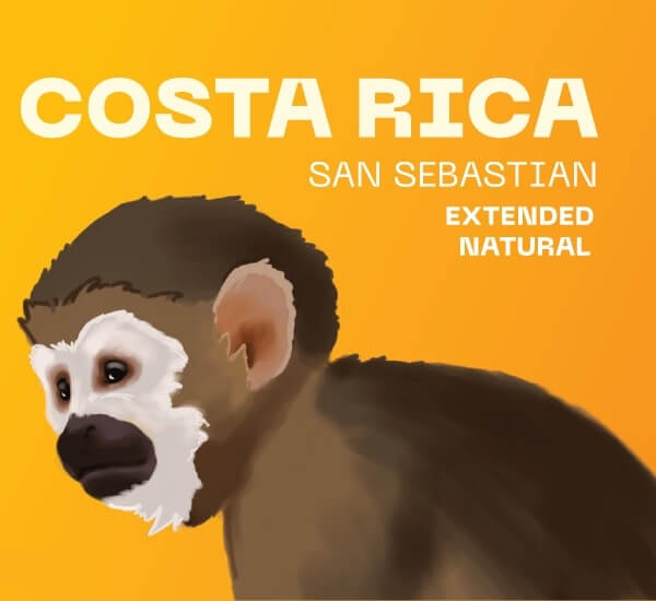 E-shop Costa Rica San Sebastian - SVETLÉ praženie (200 g, zrnková káva)